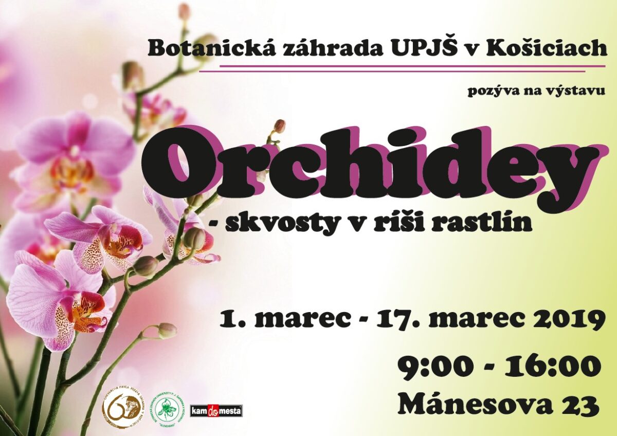 Botanická záhrada UPJŠ láka návštevníkov na skvosty v rastlinnej ríši