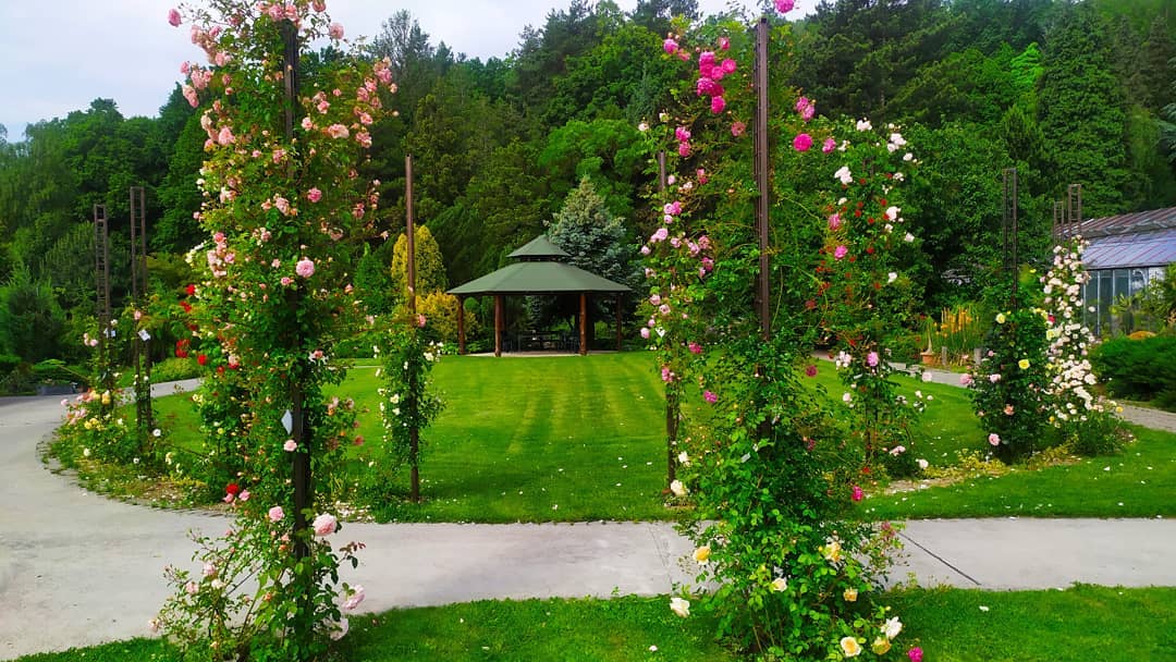 Letné koncerty v botanickej záhrade