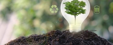 zelena transformacia