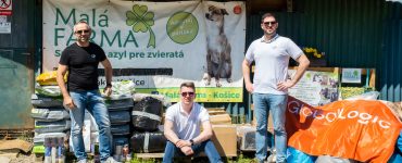 GlobalLogic na Malej farme