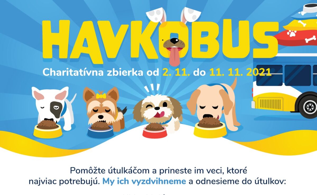 Špeciálny Havkobus vyráža na pomoc opusteným košickým psíkom
