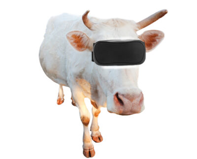 Kravy a virtuálna realita