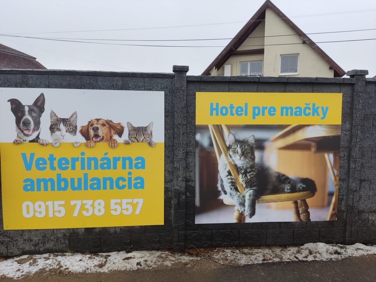 Košice majú nový hotel pre mačky. Nájdete ho v Krásnej
