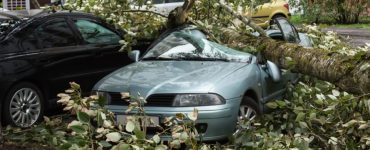 poistenie - prírodné živly