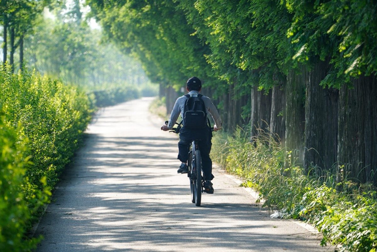 Elektrické bicykle Kellys: Zaujímavosti