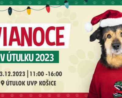 Vianoce v útulku