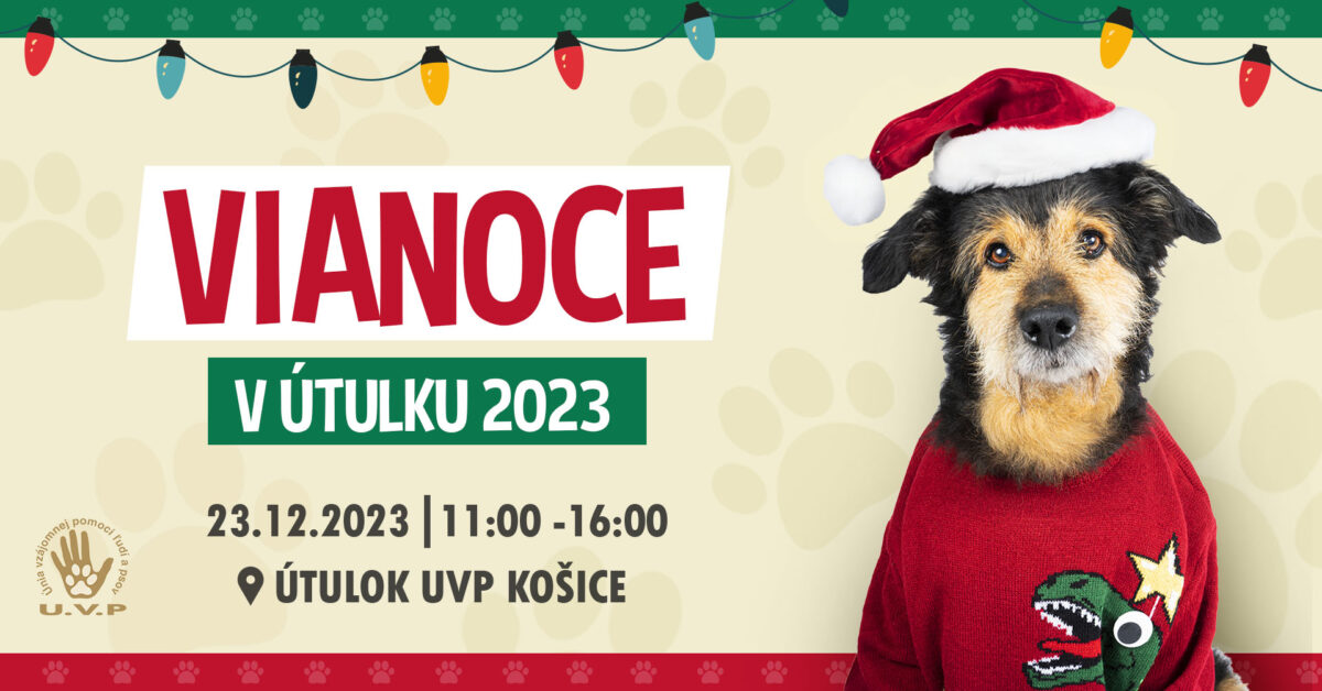 Útulkáči vás pozývajú na Vianoce. Najviac sa potešia láske