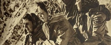 Výstava - Zimná sezóna, 2023-2024, Ilustračný obrázok