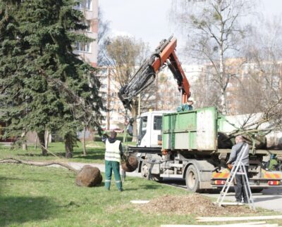 výsadba stromov Košice - Západ