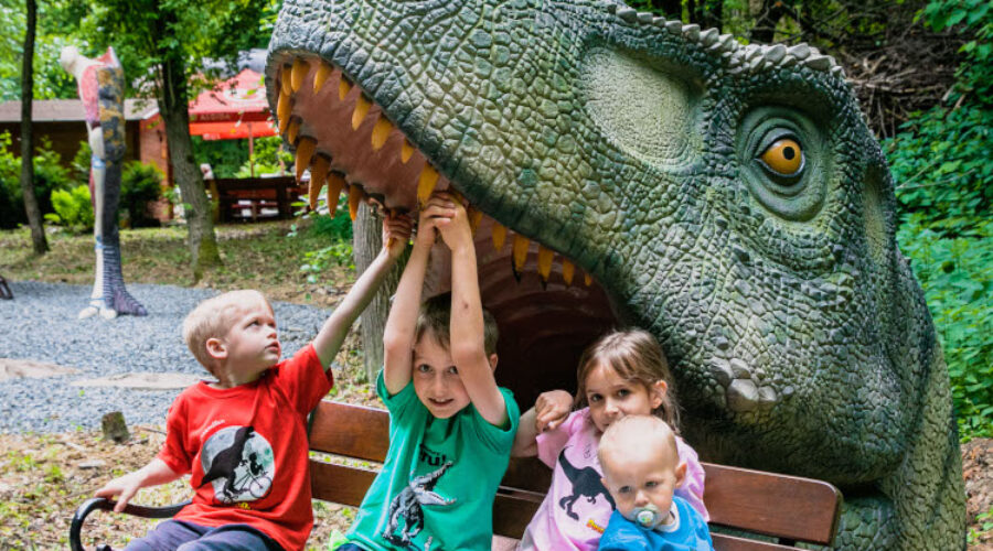 Medvede dostanú v zoo veľkonočnú tortu s medom