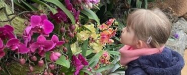 výstava orchideí v Botanickej záhrade 2024