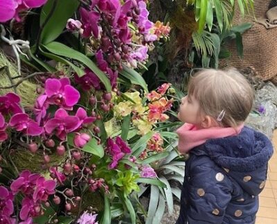 výstava orchideí v Botanickej záhrade 2024