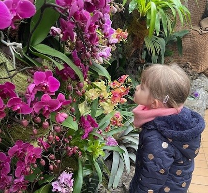 výstava orchideí v Botanickej záhrade 2024