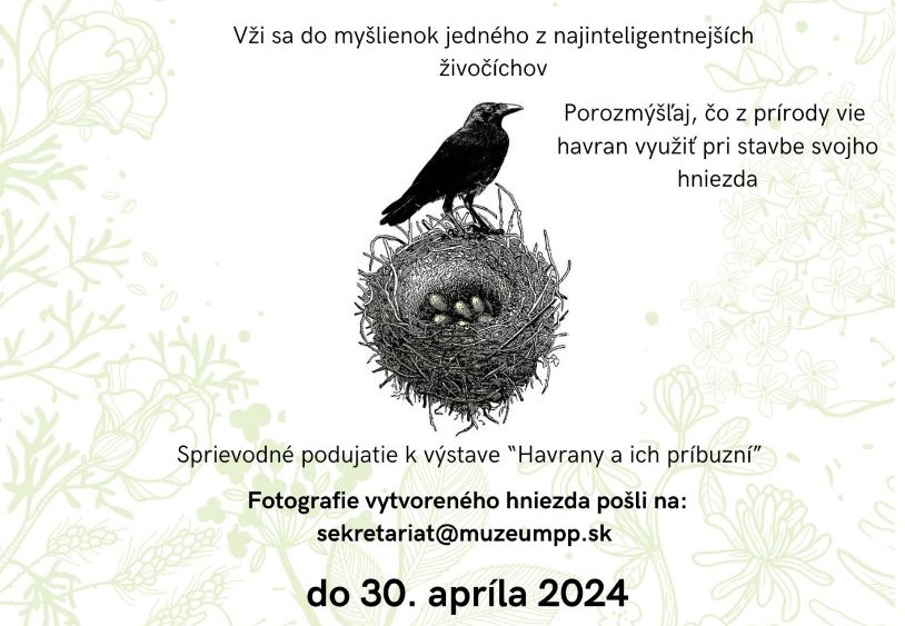 Zapojte sa do súťaže o autentické havranie hniezdo