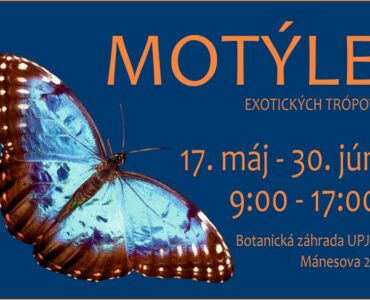 motyle-2024-plagat