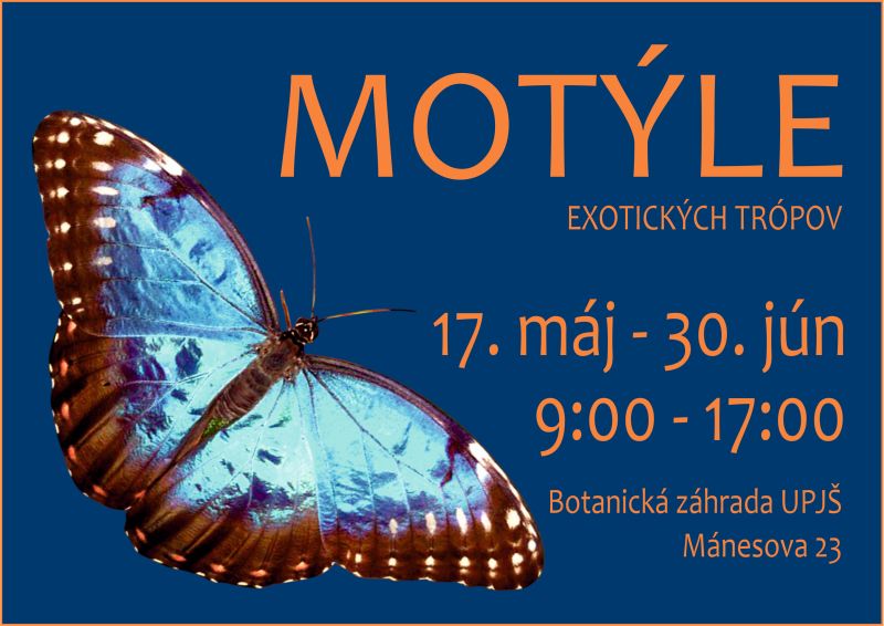 Botanická záhrada aktuálne láka na motýle. Uvidíme ich až 7-tisíc!