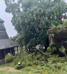 zlomený strom kostolík z Kožuchoviec