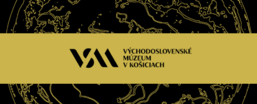 VSM logo