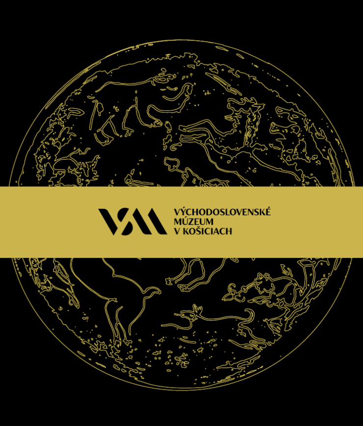 VSM logo