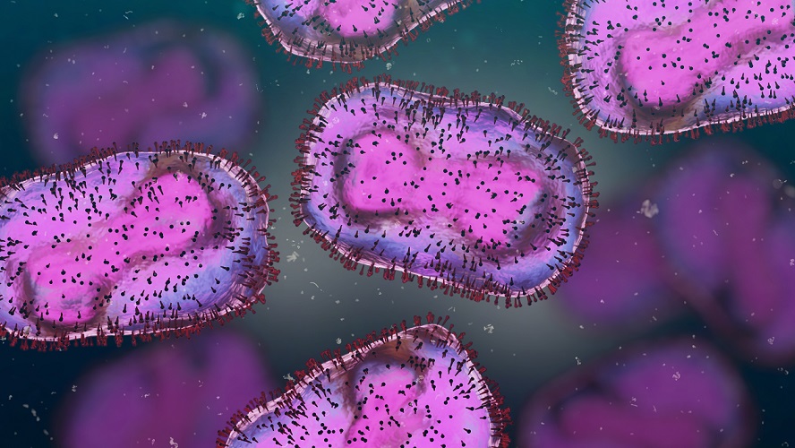 Zaregistrovali ste hrozbu mpox? Opičie kiahne sa začali vo svete masívne šíriť