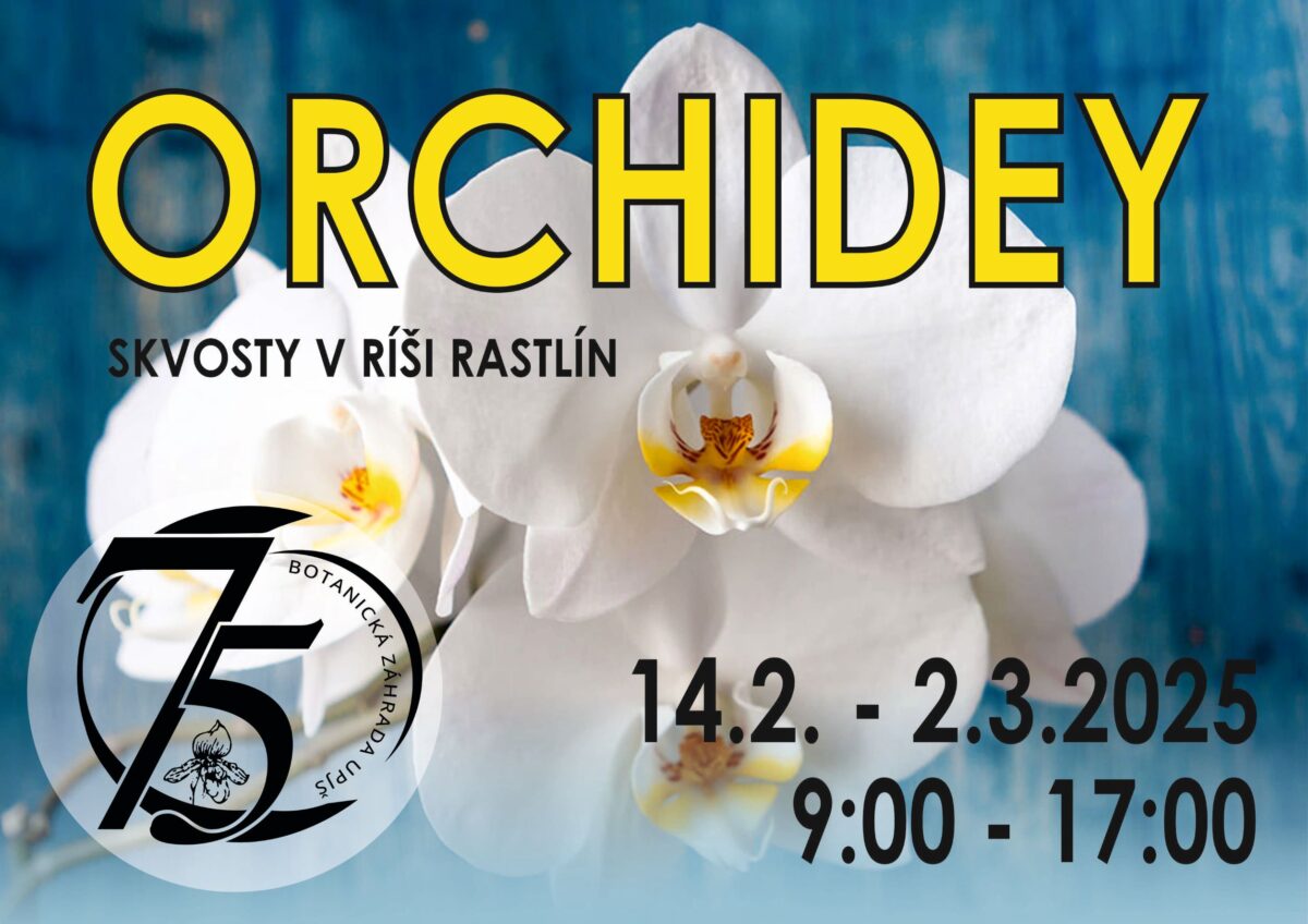 Vychutnajte si krásu a vôňu exotických orchideí v Botanickej záhrade