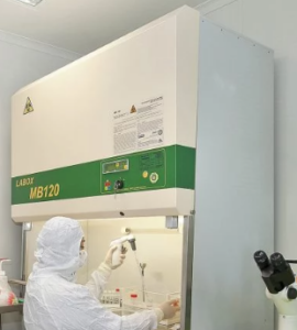 UNLP HPV