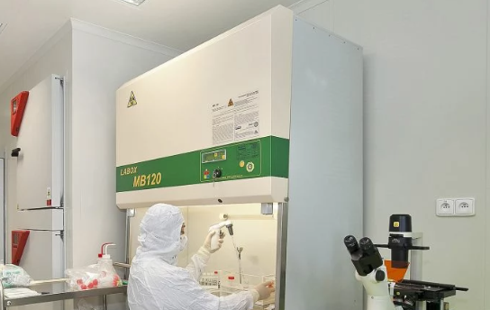 UNLP HPV