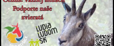 zoo košice