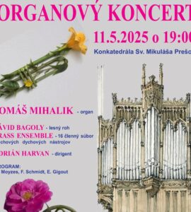 organový koncert