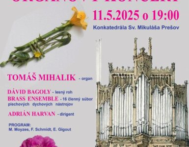 organový koncert