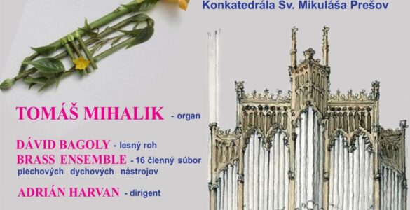 organový koncert