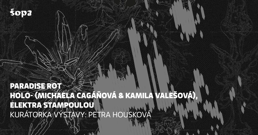 Šopa Gallery pozýva na výstavu, kde budete namiesto zraku viac potrebovať čuch
