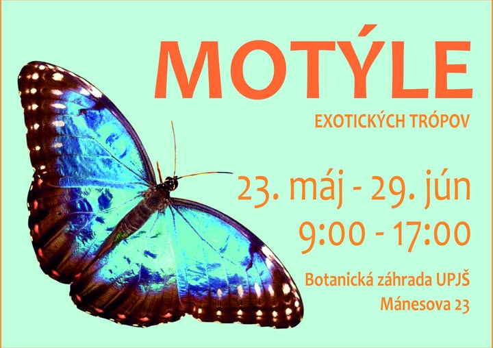 motýle v Botanickej