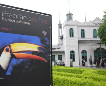 výstava Brazília