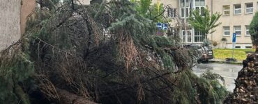 Prešov kalamita