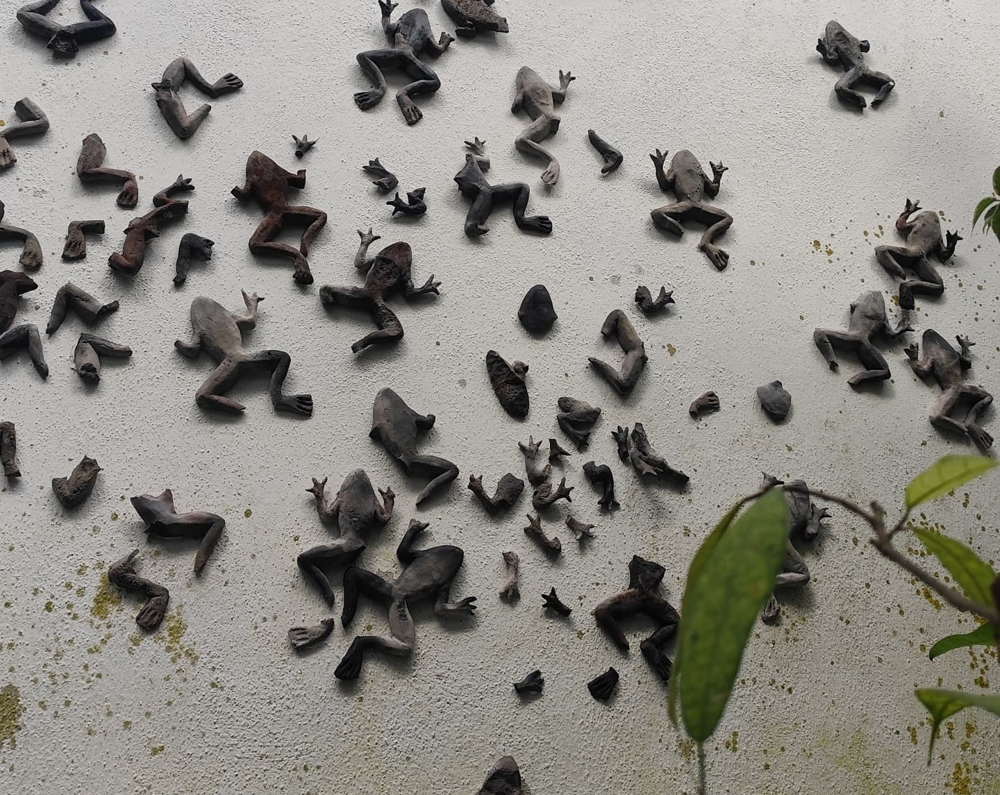 Botanickú záhradu krášli výstava umenia