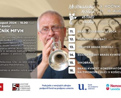 Plagát - MFVH 2025