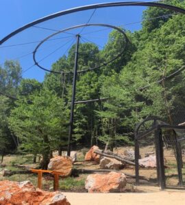 voliéra zoo