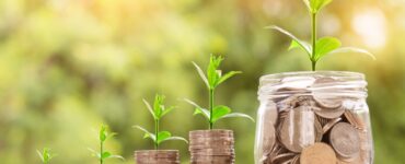 peniaze rast ilustračka