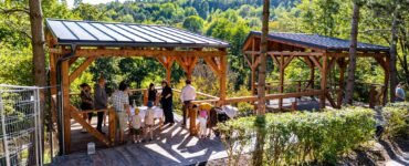 vyhliadková terasa medvede v zoo