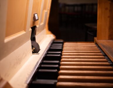 organ