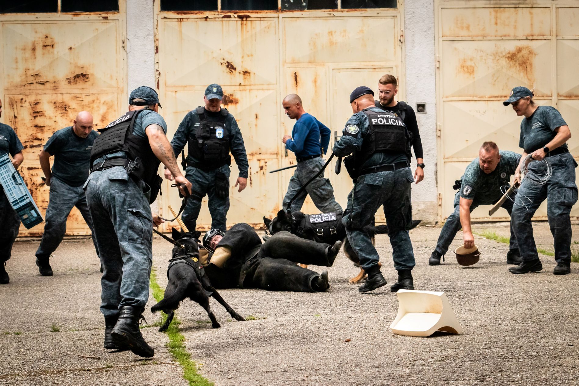 Mestskí policajti z celého Slovenska absolvujú v Košiciach spoločný trojdňový taktický tréning