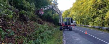 Jahodná orez konárov