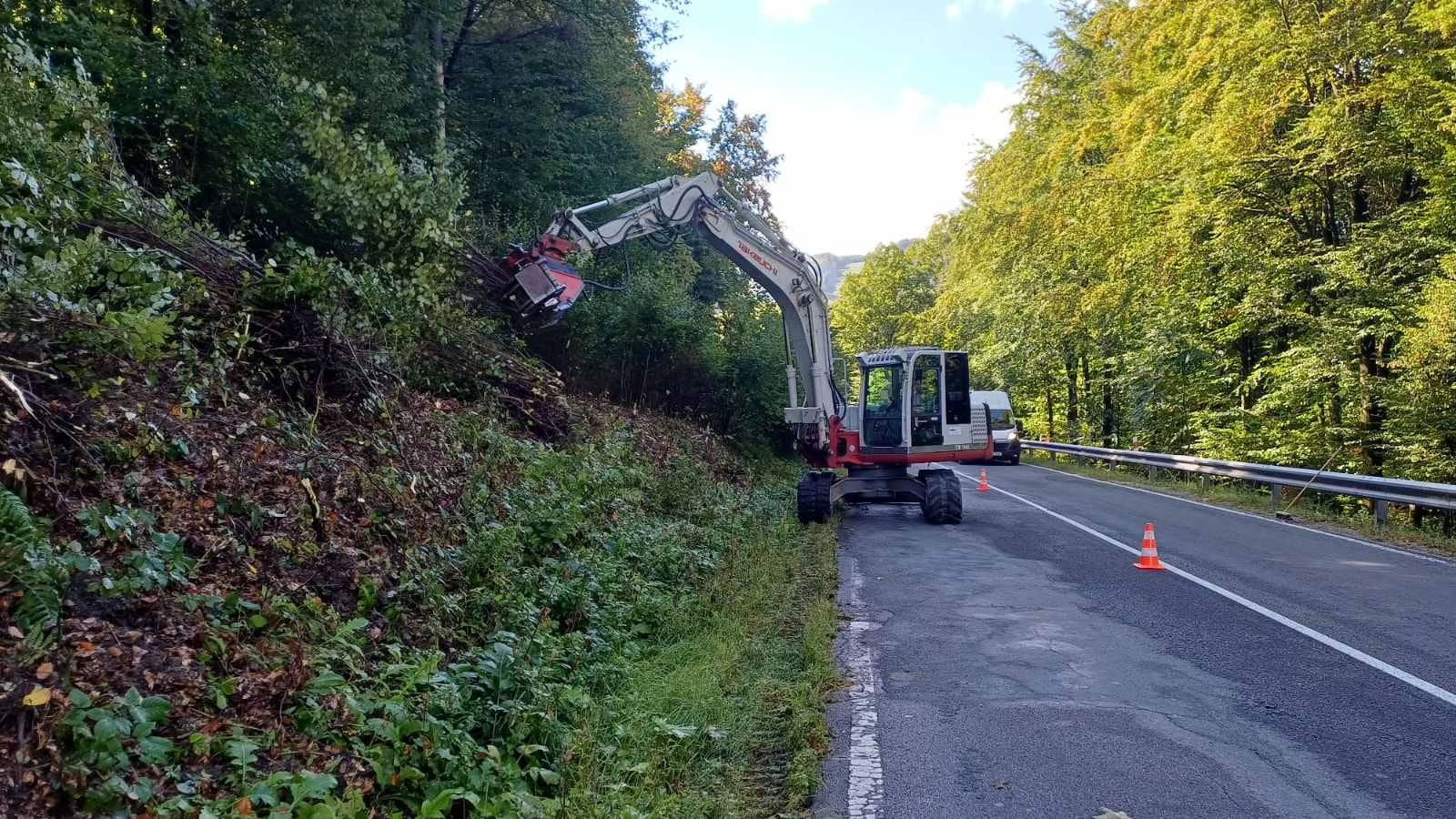 Cesta na Jahodnú bude bezpečnejšia, začal orez stromov