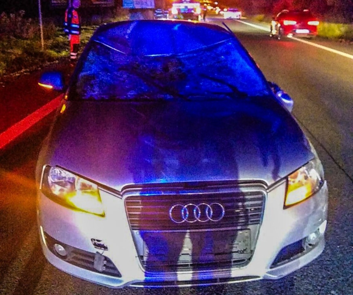 Pri Košiciach sa včera zrazilo auto s losom