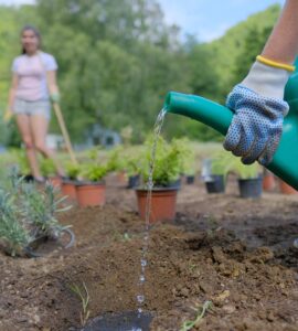 záhrada ilustračka