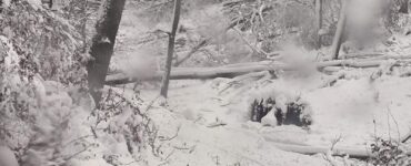 vývraty košické lesy