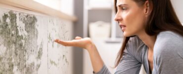 plesne v domácnosti