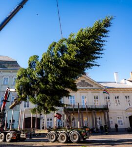 umiestnovanie_vianocneho_stromu