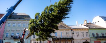 umiestnovanie_vianocneho_stromu